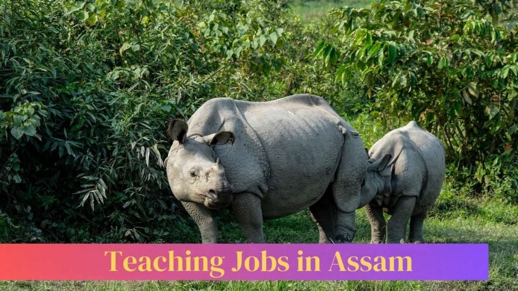 Jobs For Teachers In Assam