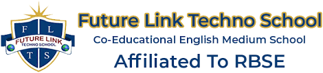 Future Link Techno School, Barmer, Rajasthan Logo