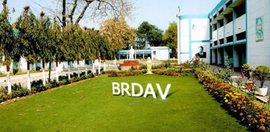 BRDAV Public School
