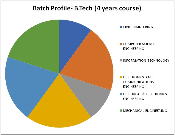 Pie Chart showing placement from different department at Birla Institute of Technology