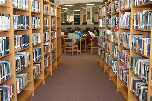 library at jpsps