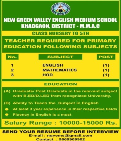 Teachers Job at New Green Valley English Medium School, Chhattisgarh