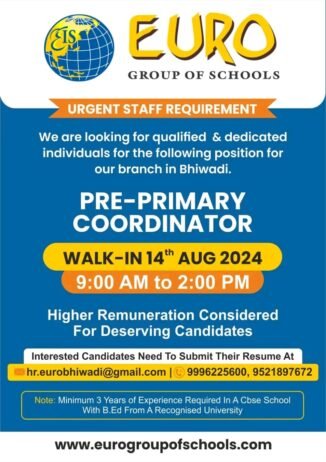 Teachers job in EURO GROUP OF SCHOOLS ,  Rajasthan