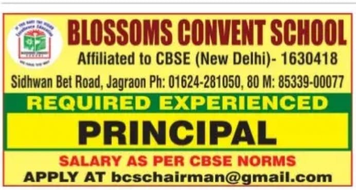 Teachers job in BLOSSOMS CONVENT SCHOOL , Punjab