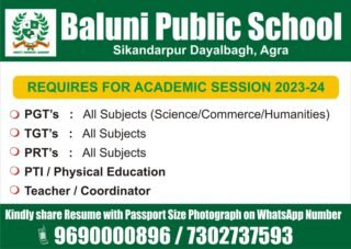 baluni-public-school-agra-job