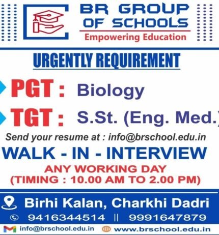 Opening Job for Teachers at BR GROUP OF SCHOOLS in Dadri, Utter pradesh