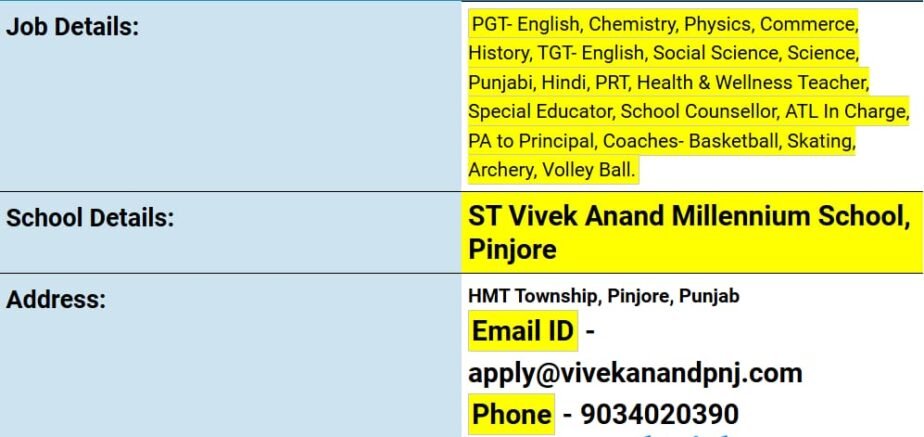 Job Opportunities at ST Vivek Anand Millennium School, Pinjore