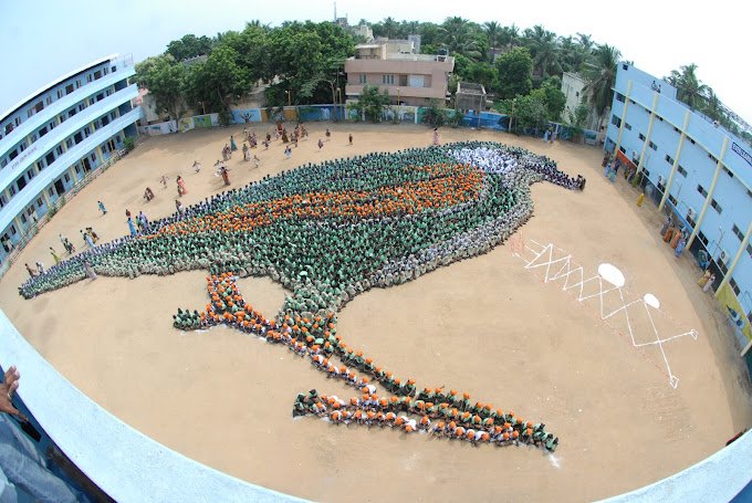 Teaching Jobs at Everwin Group Of Schools, Chennai – Apply Now for Exciting Opportunities!