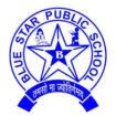 Teaching Jobs in Jaipur – TGT, PRT, Pre-Primary Vacancies at Blue Star Public Sr Sec School, Jaipur, Rajasthan