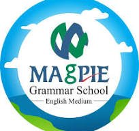 Teaching job in kota | Magpie Grammar School, Kota, Rajasthan