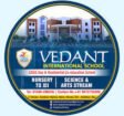 Teaching Job in Chirawaat | Vedant International School, Chirawa, Rajasthan