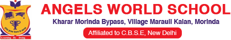 Teaching & Non-Teaching Jobs in Punjab | Angels World School Gharuan Hiring Teachers & Staff