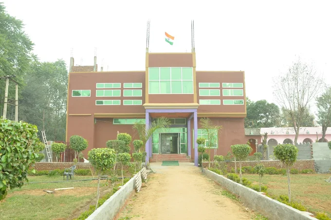 Teaching job in Bhiwani | DBM International School, Bhiwani, Haryana