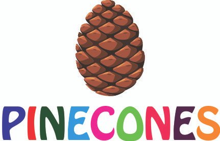 Teaching & Staff Vacancies in Udaipur | Pine World School, Udaipur – Apply Now for Pre-Primary, PRT, Coordinator & Accountant Roles