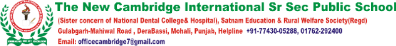 PGT, TGT & PRT Teaching Jobs in Dera Bassi, Punjab at The New Cambridge International Public School, Dera Bassi, Punjab